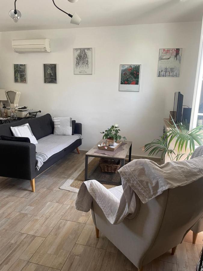 Appartement Avec Jardin En Ville 索格岛 外观 照片
